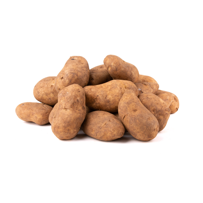 Seed Potatoes - Mondial (7 tubers)