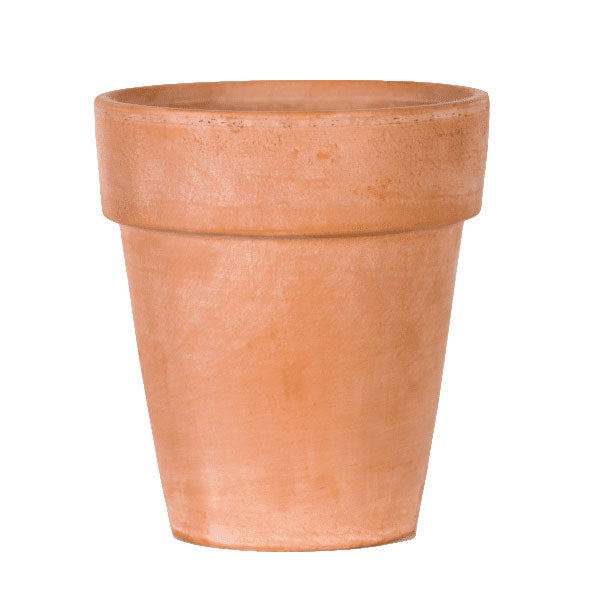 Terracotta Flower Pot CP - 15,5cm