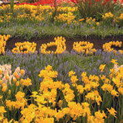 Hadeco Established 1946 - 80 Acts of Kindness