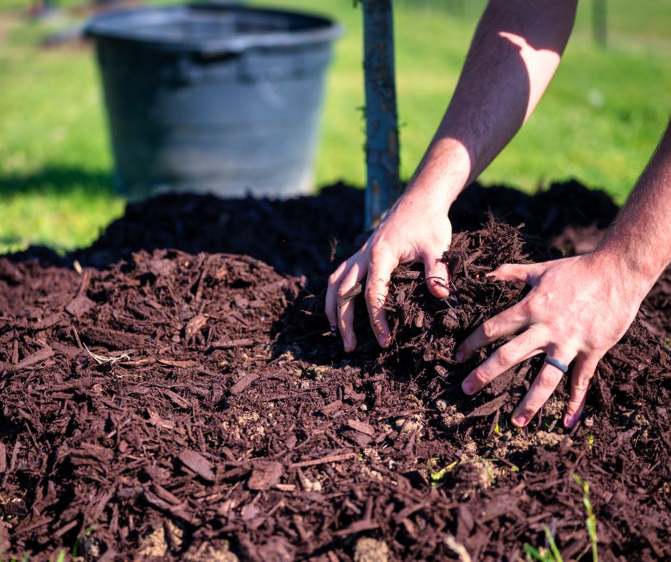Why, How and What to Mulch
