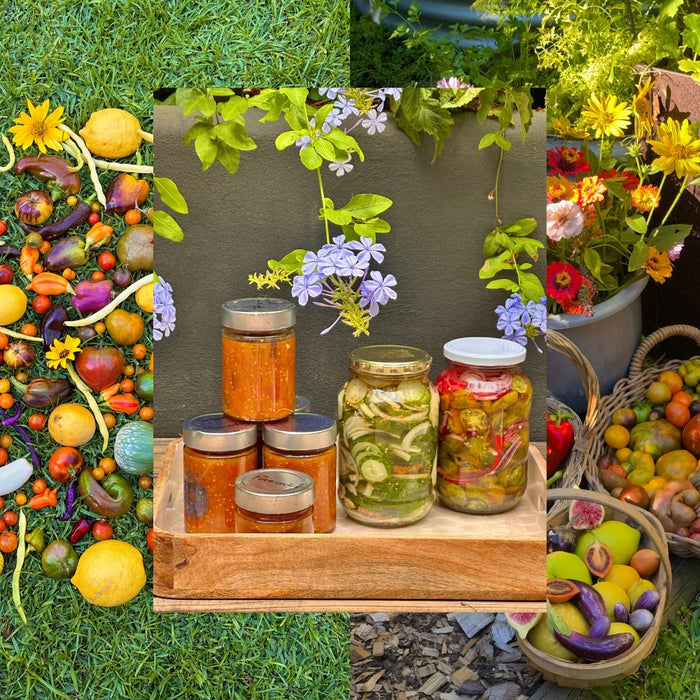 Grow Your Own Way With Life Is An Organic Garden