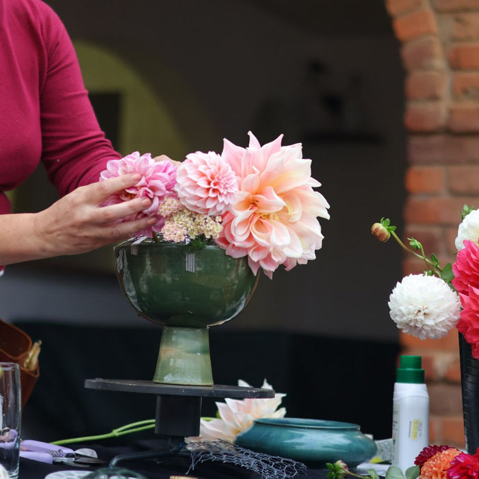 Grow your own way with Quercus Haus