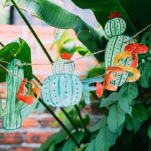 How to create your very own Mexican-Styled garden