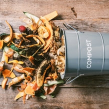 Why Should I Use Compost?