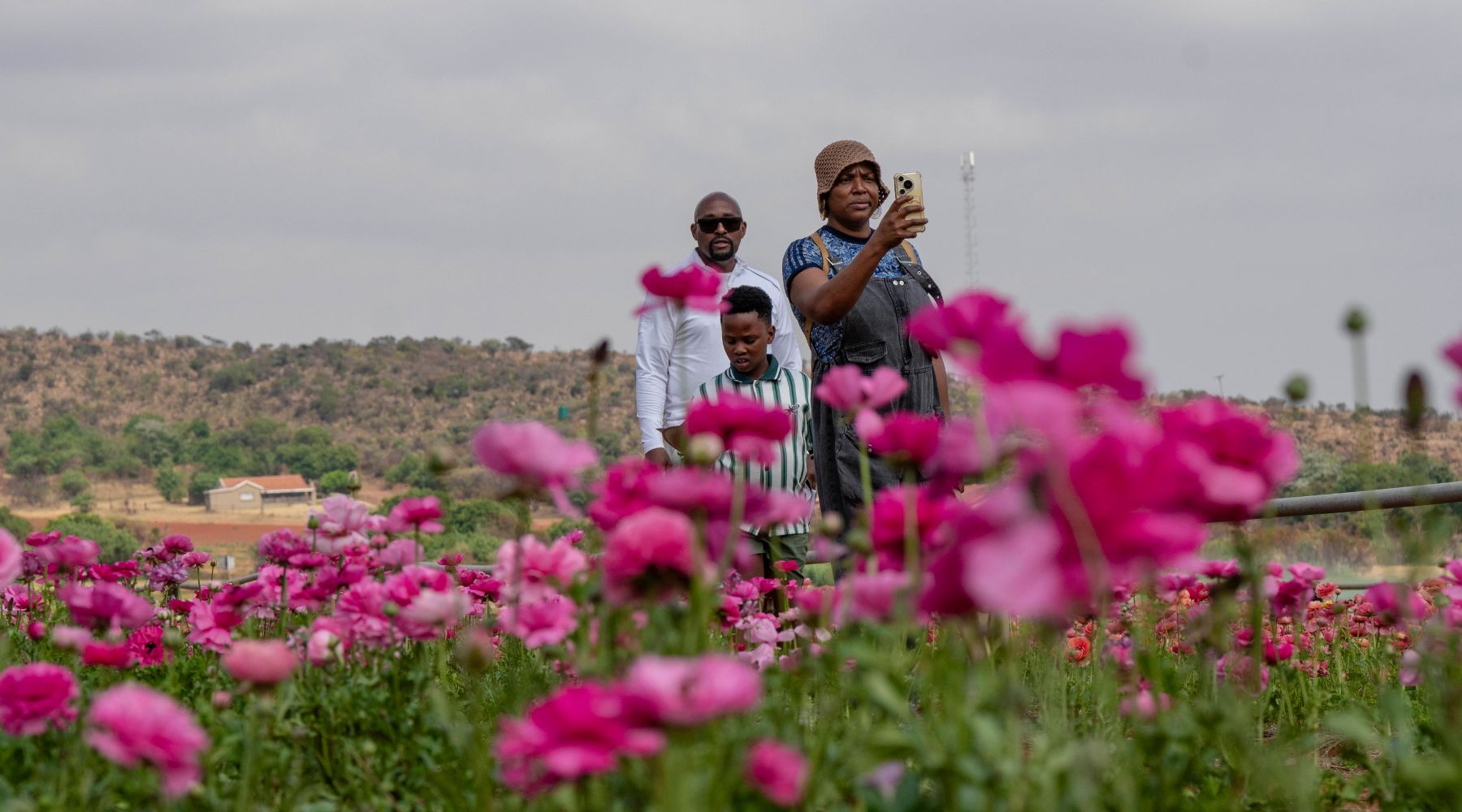 Petals with Purpose: Spring Festival