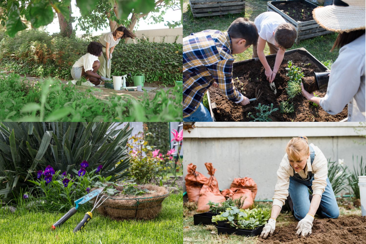 women who garden