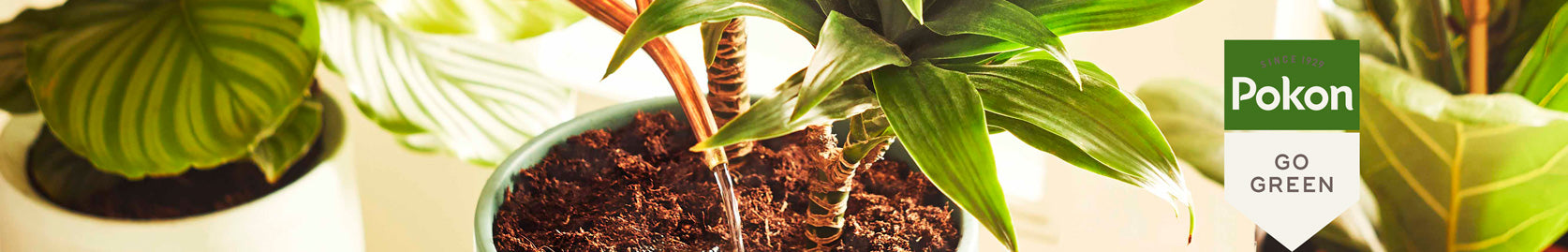 Plant Food — Hadeco.co.za