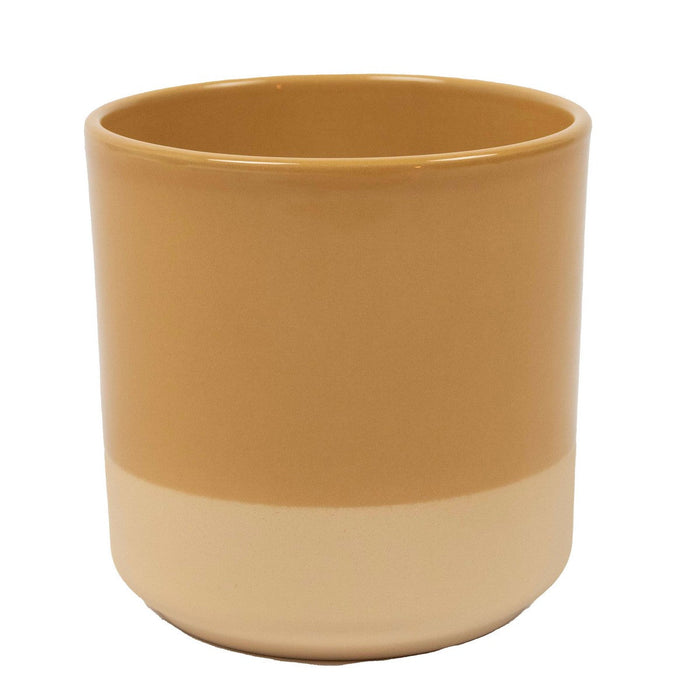 Cylinder Ceramic Dip-Dye Planter  - Various Options