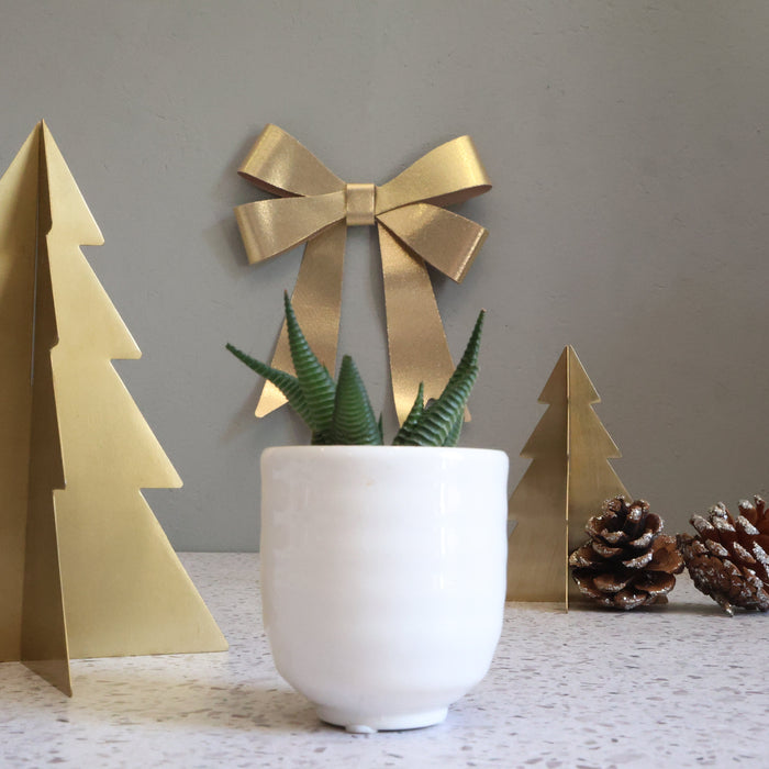 Festive Potted Succulent – Snow White Ceramic Pot (D7.5 cm)