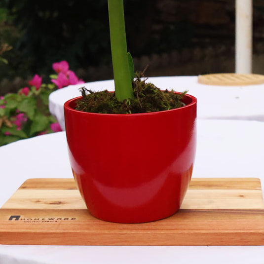 Ceramic Pot Dana - Various Colours - H13.5 x D15