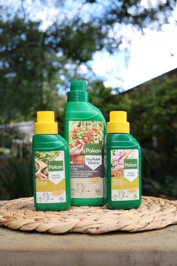 Plant Care