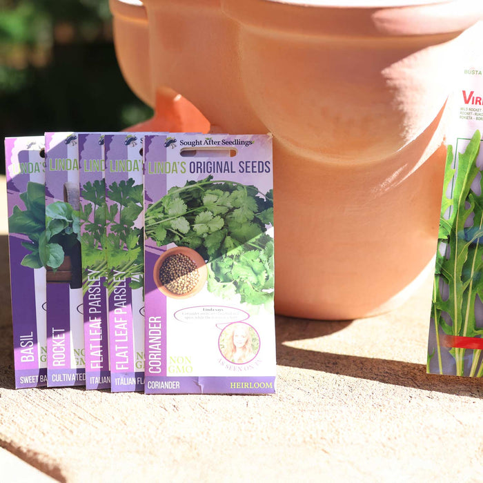 Terracotta Herb Pot and Herbs Bundle