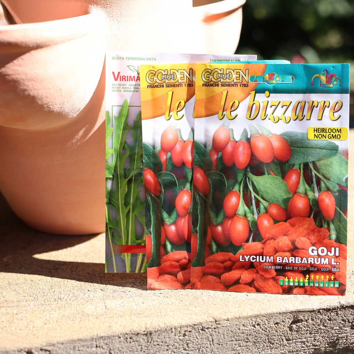Terracotta Herb Pot and Herbs Bundle