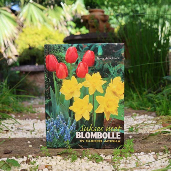 Gifting & Bulb Books