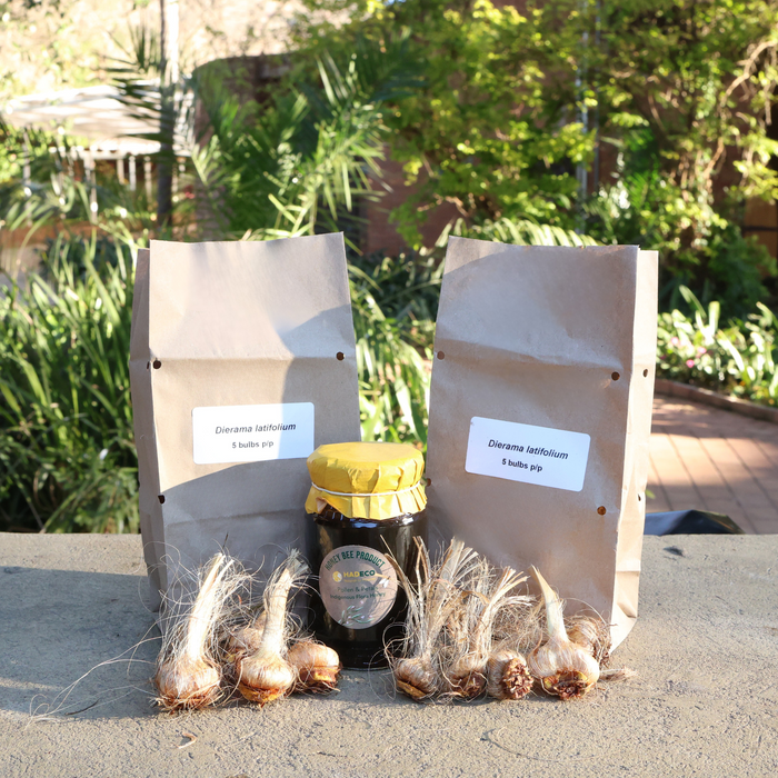 Local is Lekker: Indigenous Dierama and Pollen & Petals Honey Bundle