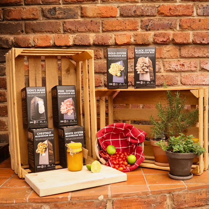 The Braai Basket Kit