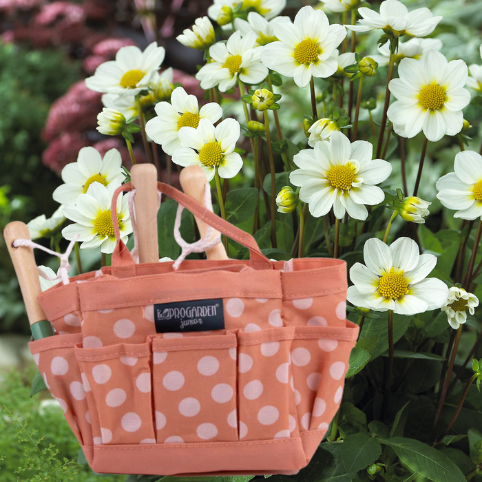 Little Buddies Dahlia Growing Set - 2 Colours & 5 Dahlia Options