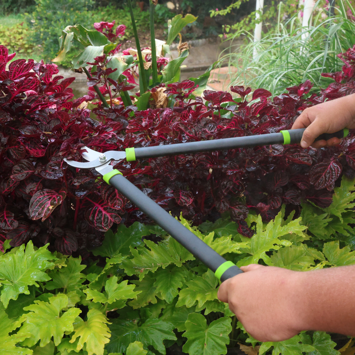 Garden Tools - 3 Piece Scissors