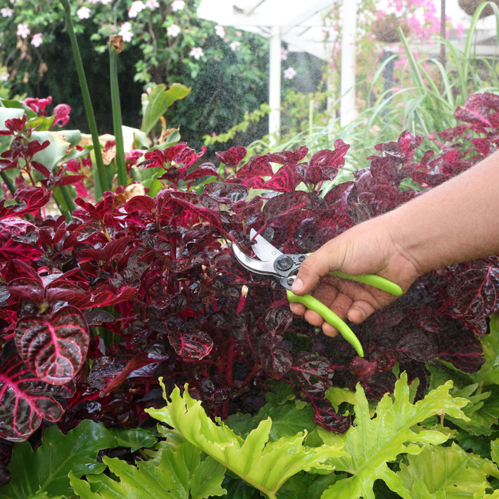 Garden Tools - 3 Piece Scissors