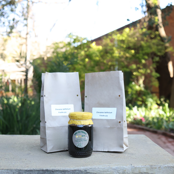 Local is Lekker: Indigenous Dierama and Pollen & Petals Honey Bundle