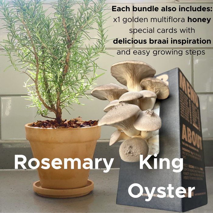 The Braai Basket Kit