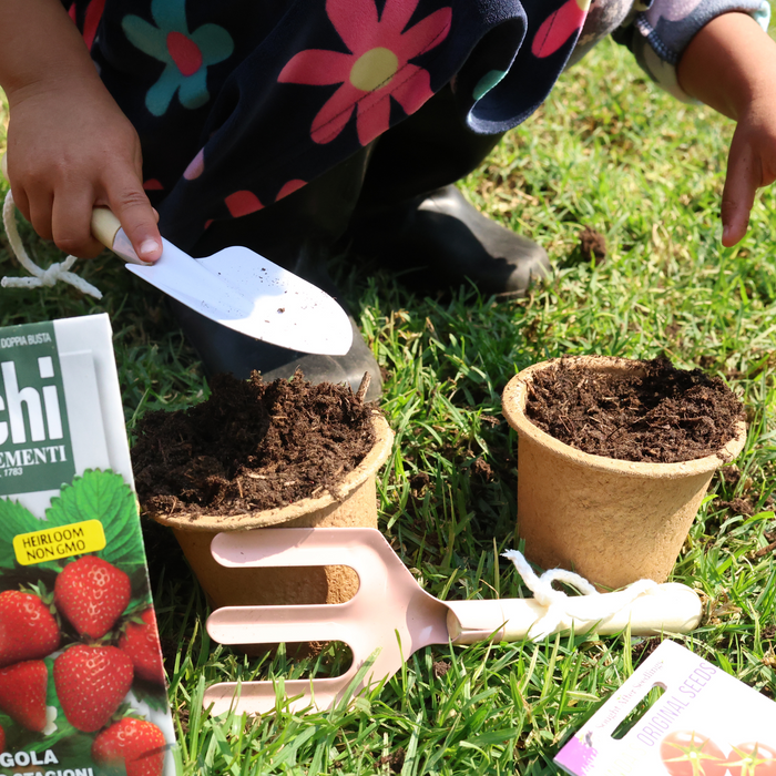 Little Sprouts Seed Growing Set - 2 Colours & Seed Options