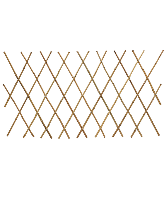 Bamboo Fence For Plants