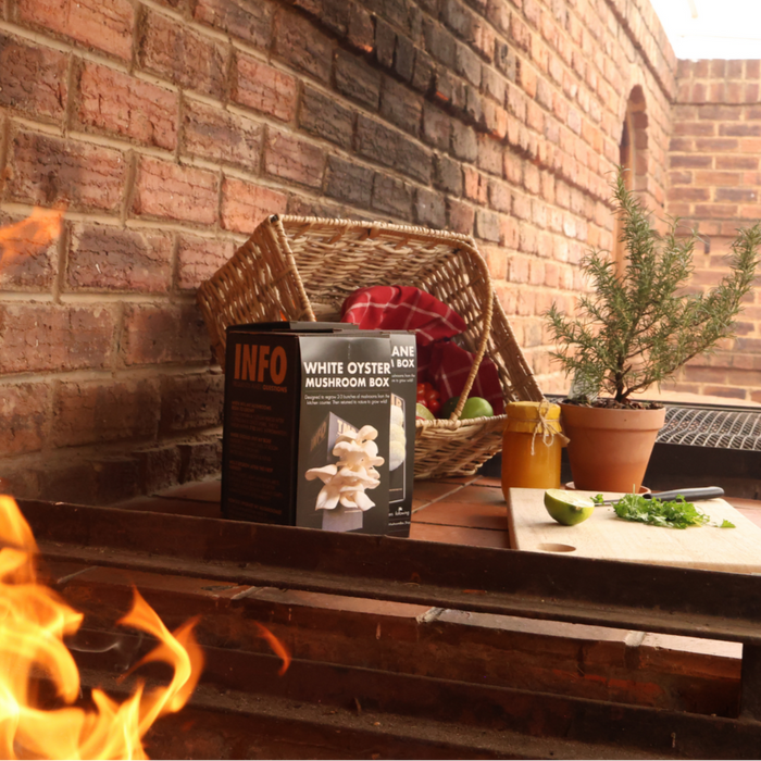 The Braai Basket Kit