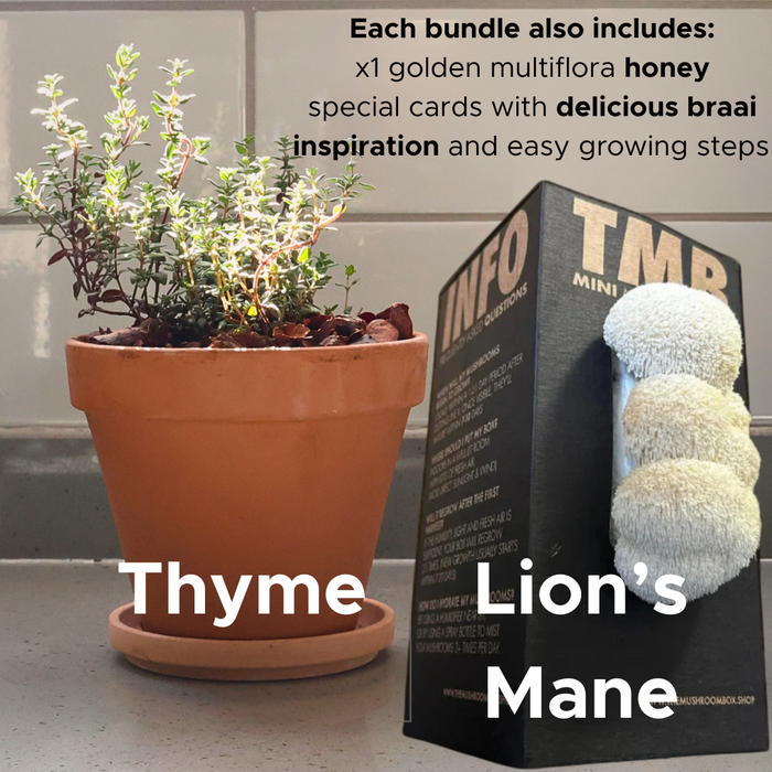 The Braai Basket Kit