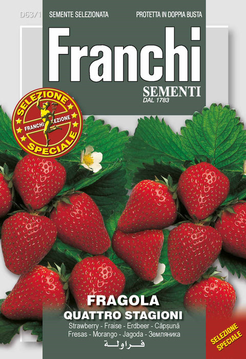 Fragola Strawberry