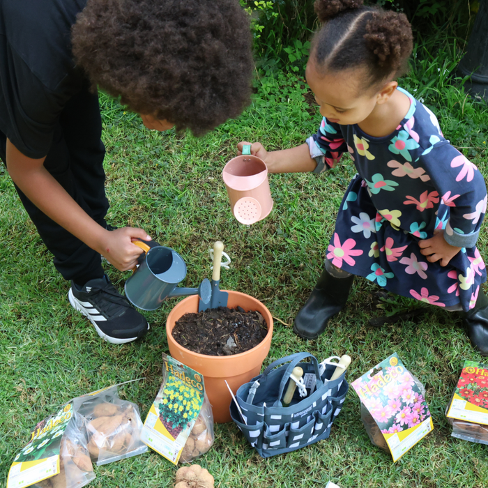 Little Buddies Dahlia Growing Set - 2 Colours & 5 Dahlia Options
