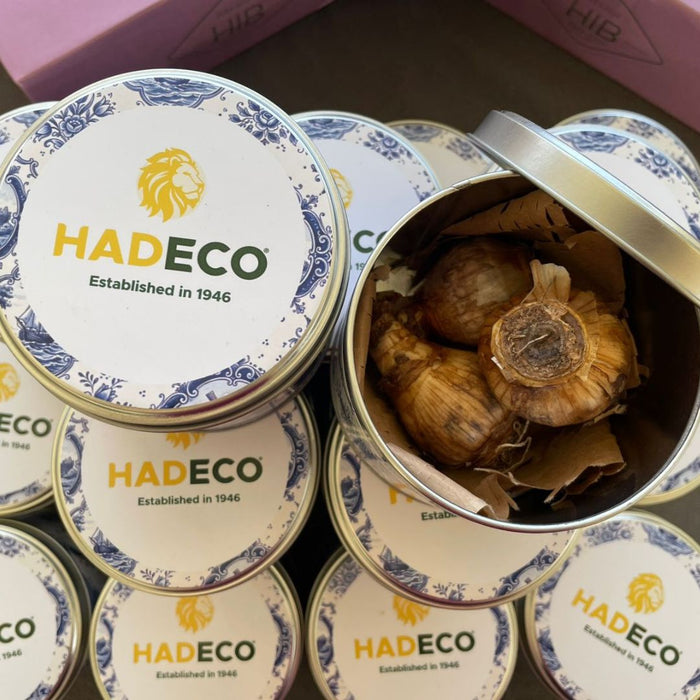 Hadeco 80th Anniversary Delft Series: Collector’s Keepsake Tin & Spring Daffodil Set