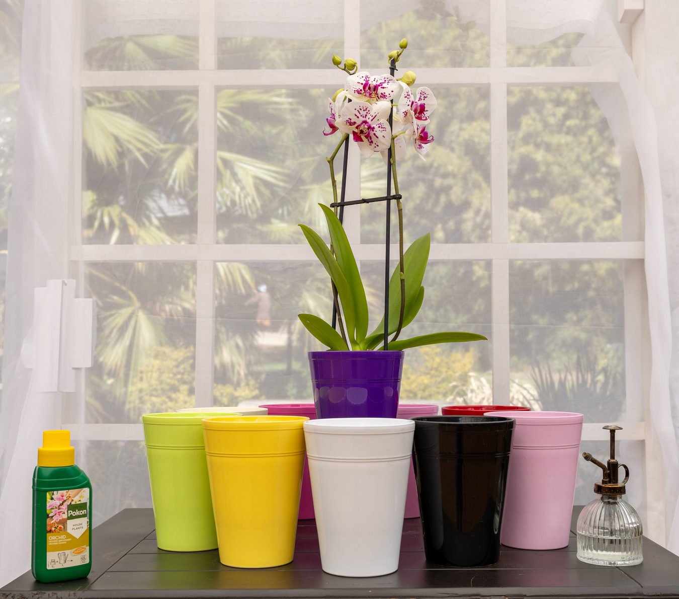 Orchid Pot Range
