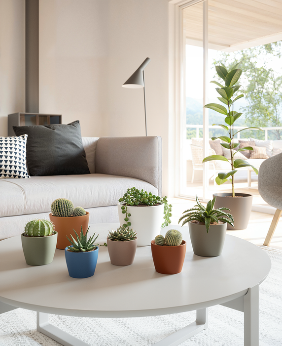 Nubia Pot - Various Sizes & Colours
