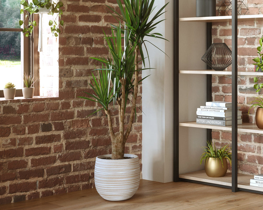 Handmade Ceramic Pot - Doris - Various Options