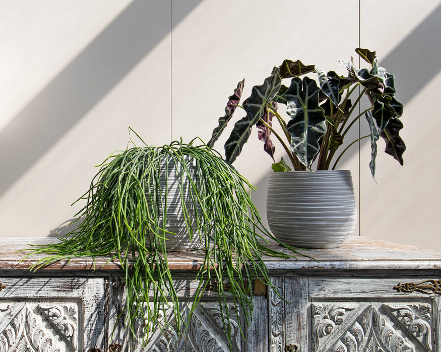 Handmade Ceramic Pot - Doris - Various Options