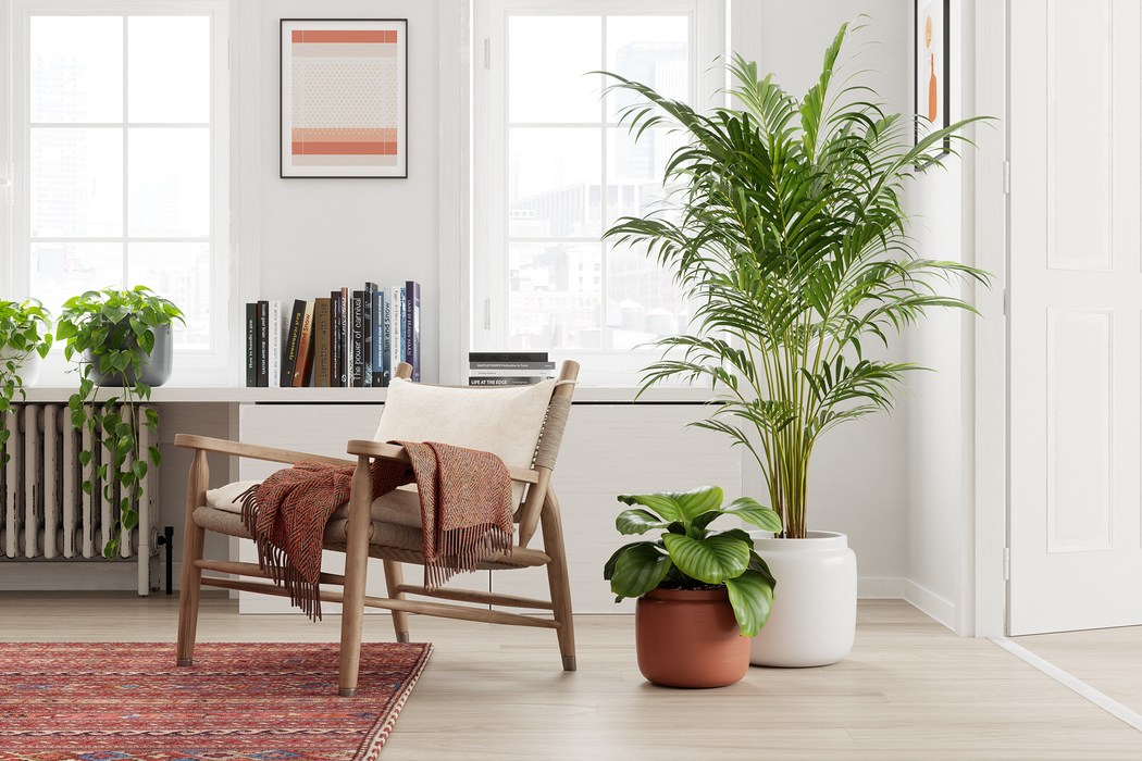 Handmade Ceramic Pot - Astrea - Various Options