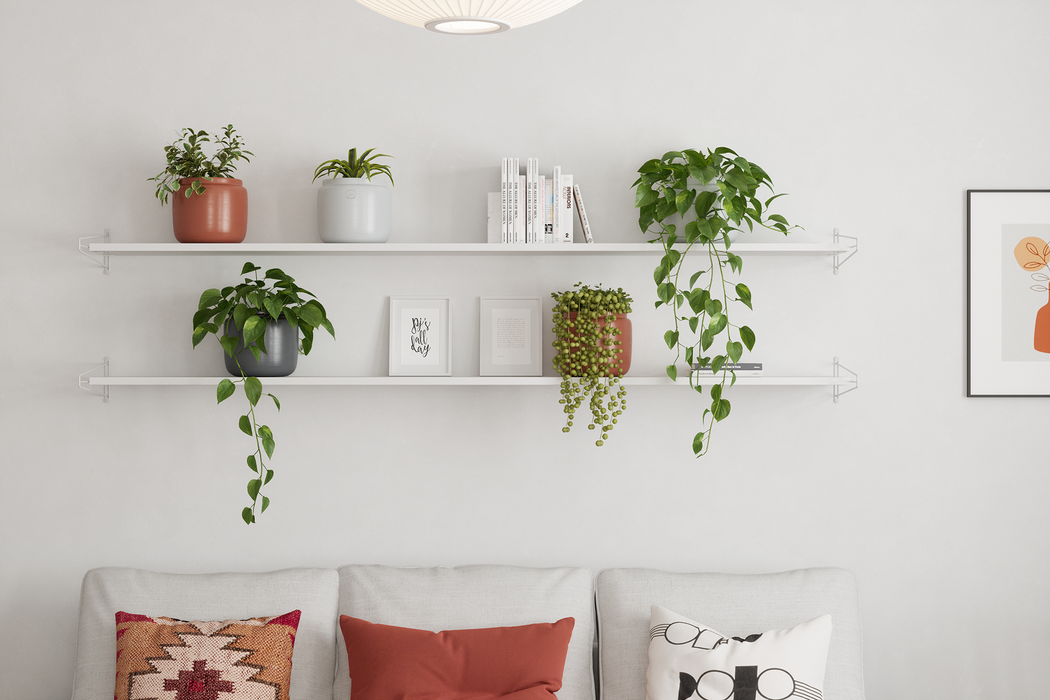 Handmade Ceramic Pot - Astrea - Various Options