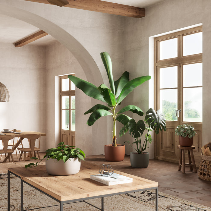 Urania Handmade Pot - Various Sizes & Colours