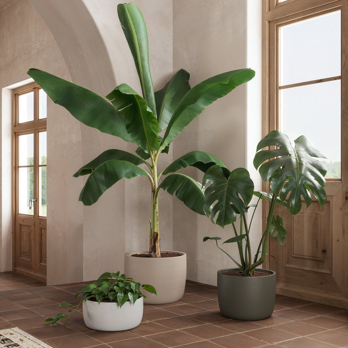 Urania Handmade Pot - Various Sizes & Colours