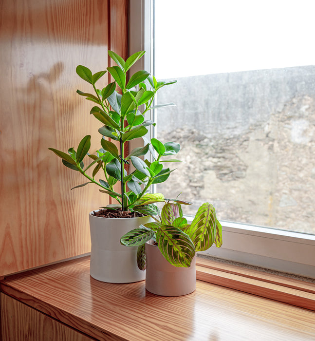 Diana Pot - Various Sizes & Colours