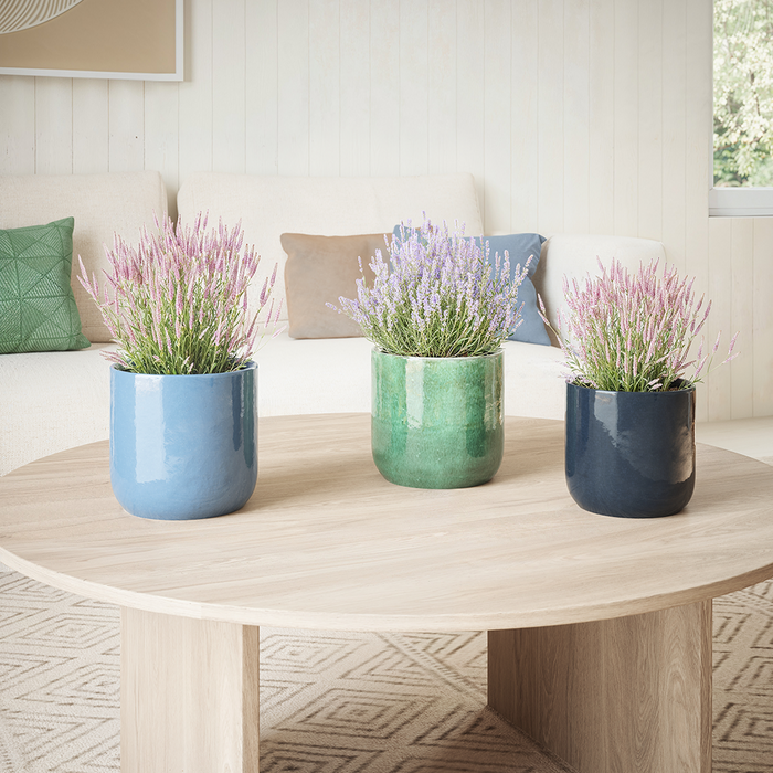 Jupiter Handmade Pot - Various Sizes & Colours