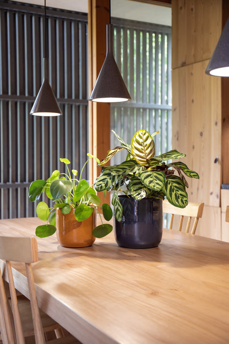 Jupiter Handmade Pot - Various Sizes & Colours
