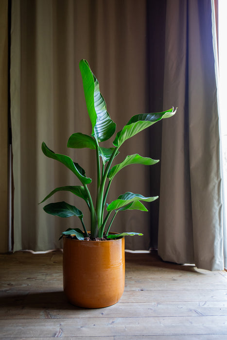 Jupiter Handmade Pot - Various Sizes & Colours