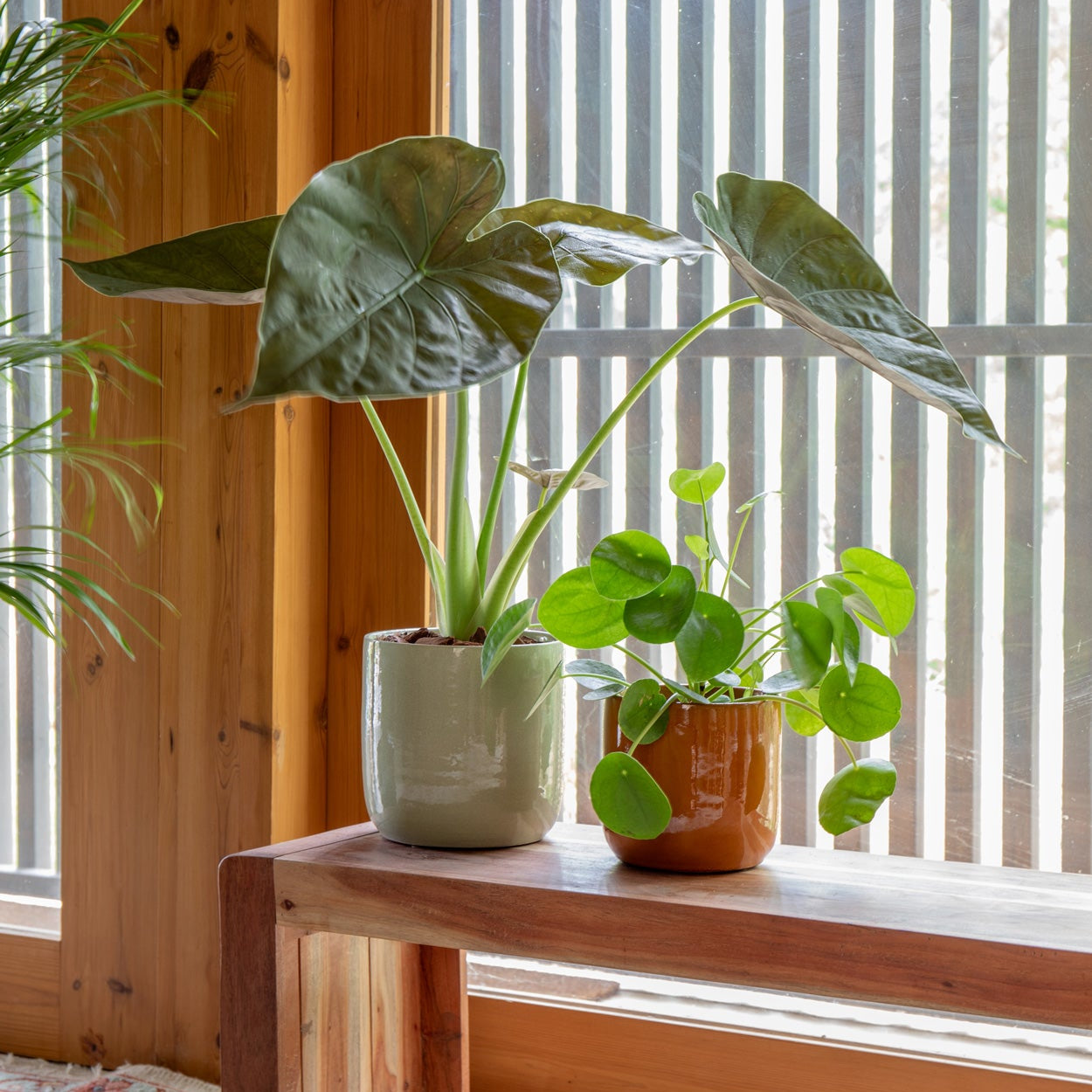 Artevasi Pot Range