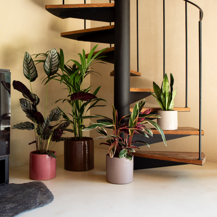 Fortuna Handmade Pot - Various Sizes & Colours