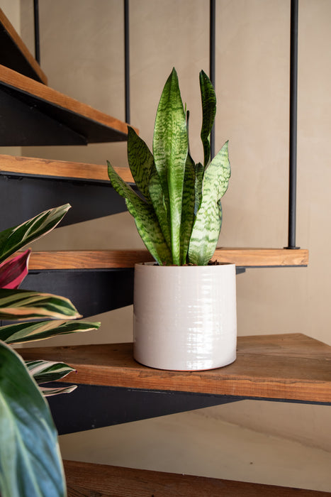 Fortuna Handmade Pot - Various Sizes & Colours