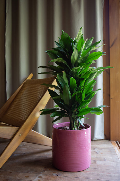 Fortuna Handmade Pot - Various Sizes & Colours