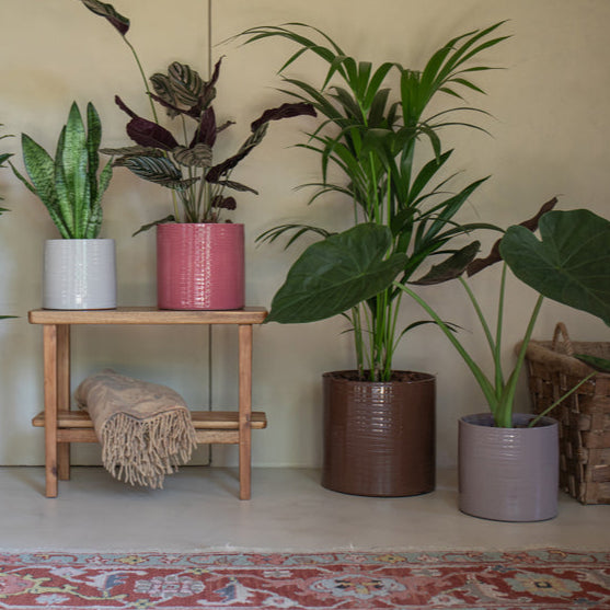 Fortuna Handmade Pot - Various Sizes & Colours
