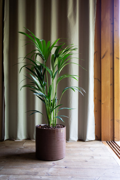 Fortuna Handmade Pot - Various Sizes & Colours